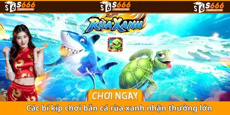 Các bí kíp chơi bắn cá rùa xanh nhận thưởng lớn
