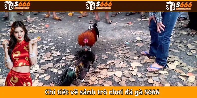 Chi tiết về sảnh trò chơi đá gà S666