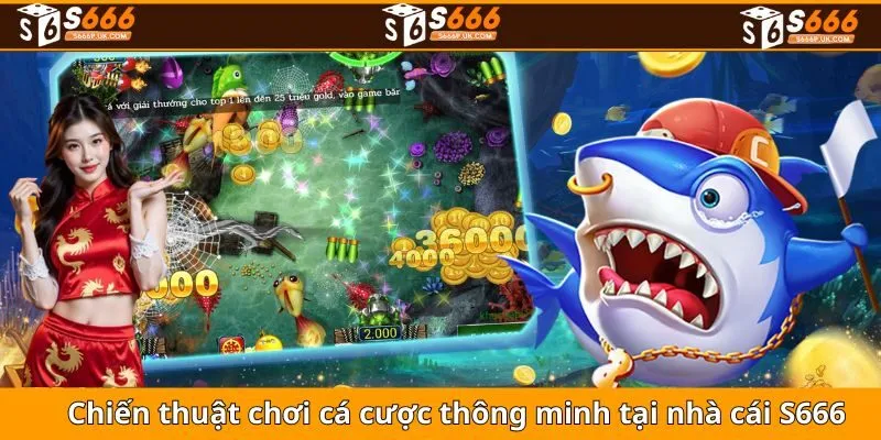Chiến thuật chơi cá cược thông minh tại nhà cái S666