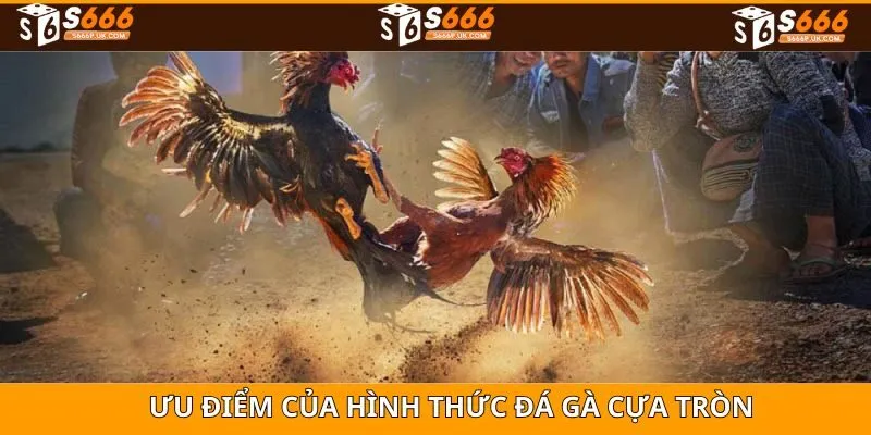 Những ưu điểm trong game đá gà cựa tròn