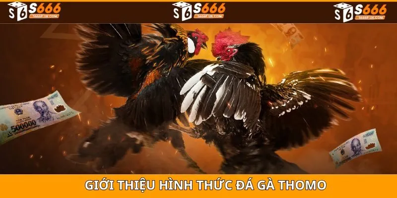 Giới thiệu trò chơi đá gà thomo trực tuyến
