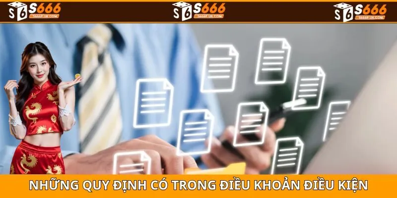 Những nội dung quan trọng có trong chính sách điều khoản điều kiện