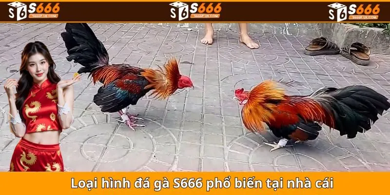 Loại hình đá gà S666 phổ biến tại nhà cái