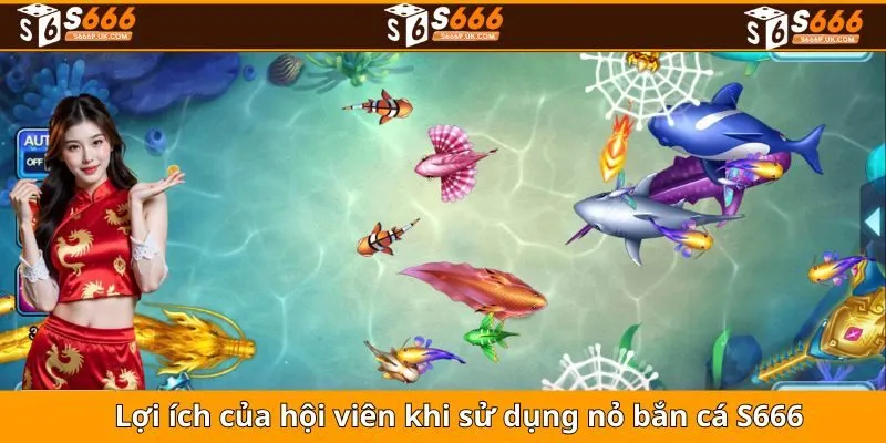 Lợi ích của hội viên khi sử dụng nỏ bắn cá S666