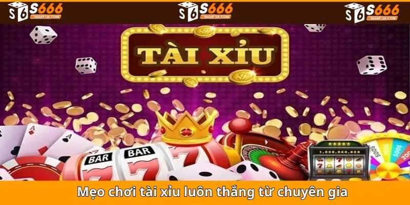 Mẹo chơi tài xỉu bất bại từ chuyên gia